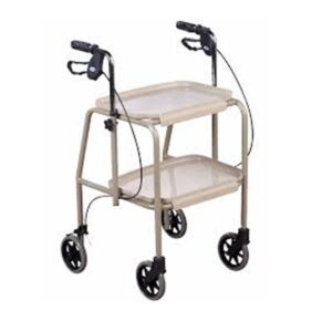 Walking Trolley with Brakes at Ability Store